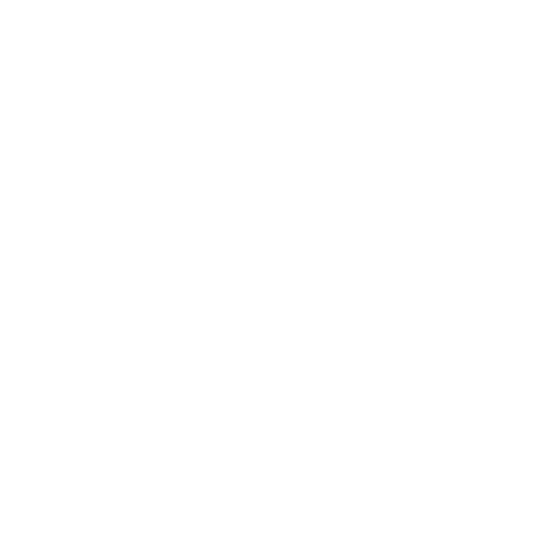 Minivideospel